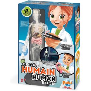 Kit corpo humano brilha no escuro 12 experiencias Buki