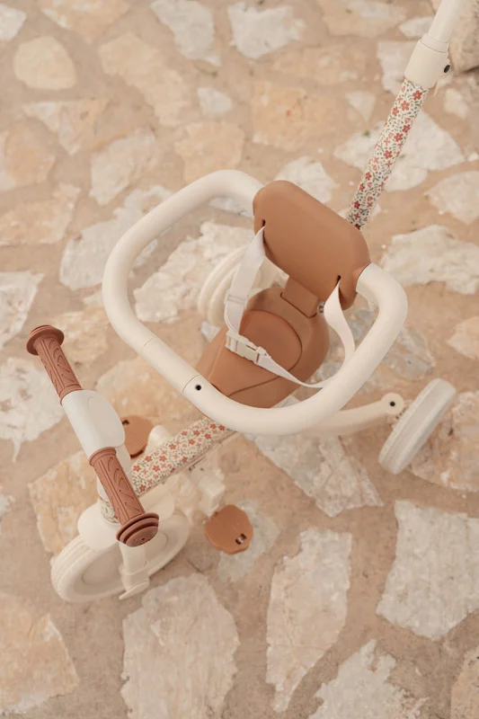 4 in 1 tricycle sunny flower ld6080 17 Copia Copia