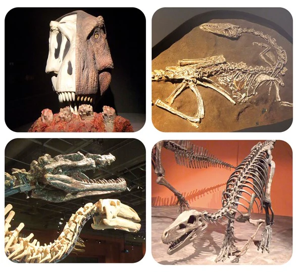 Capturadeecra2025 03 12142912