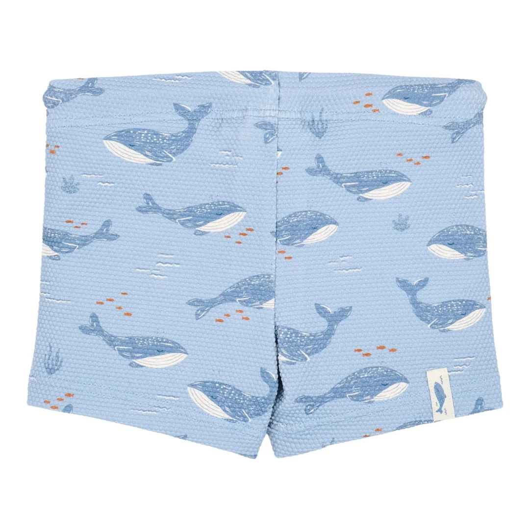 0033152 swim shorts ocean splash cl26030501 cl26030502 cl26030503 cl26030504 product 2 shopify square