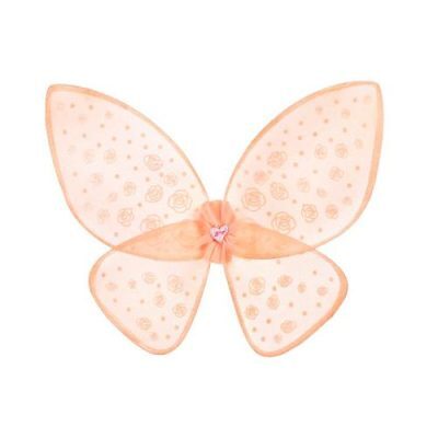 asas-de-fada-rossana-souza